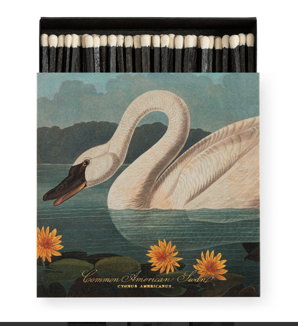 Archivist Gallery The Swan