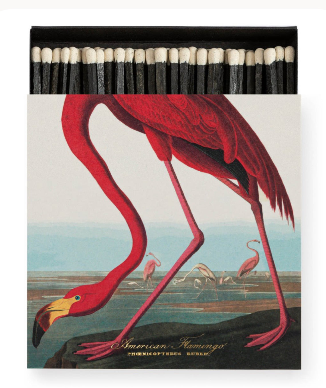 Archivist Gallery ~ The Flamingo