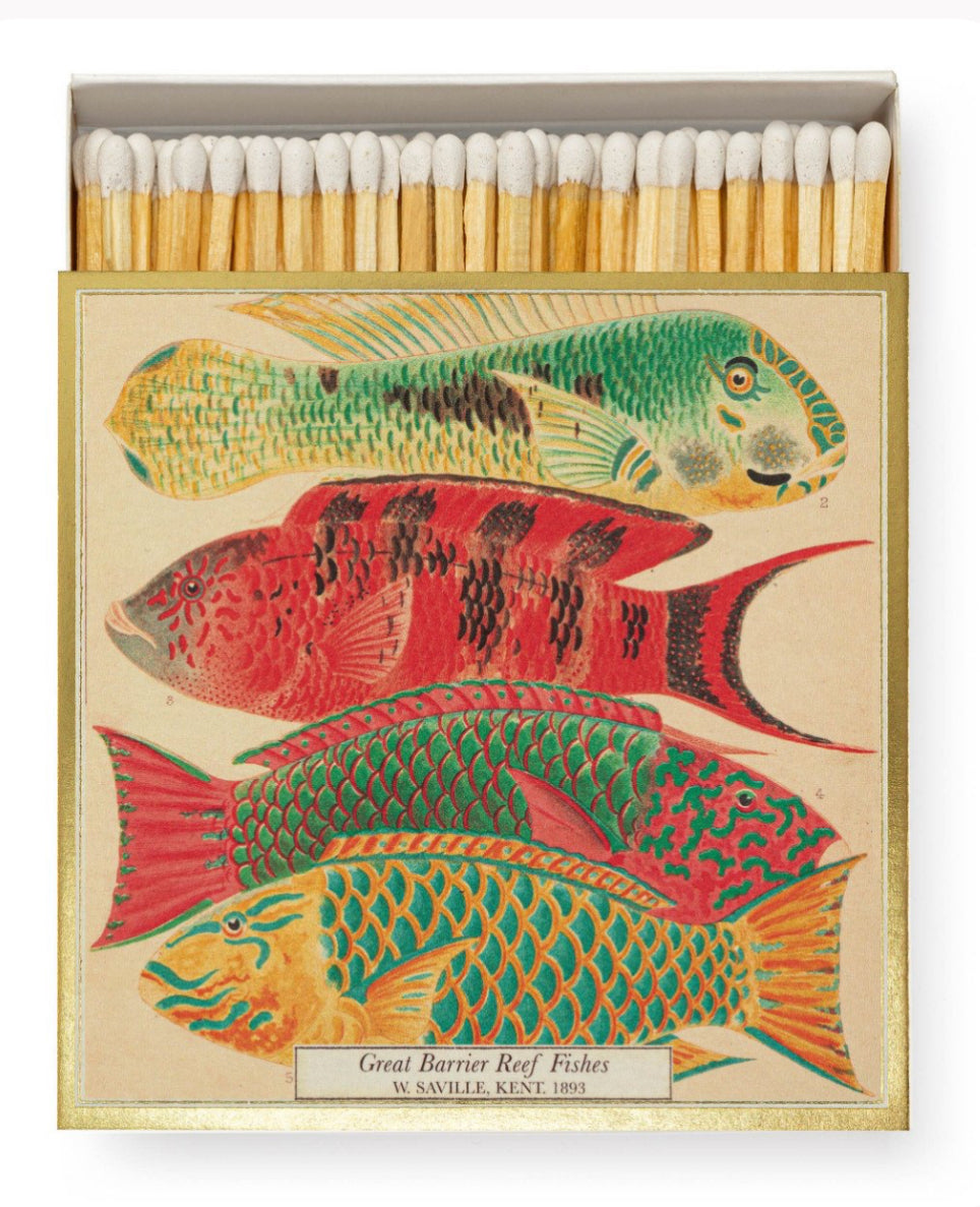 Archivist Gallery ~ Great Barrier Reef Fish. Natural history museum.